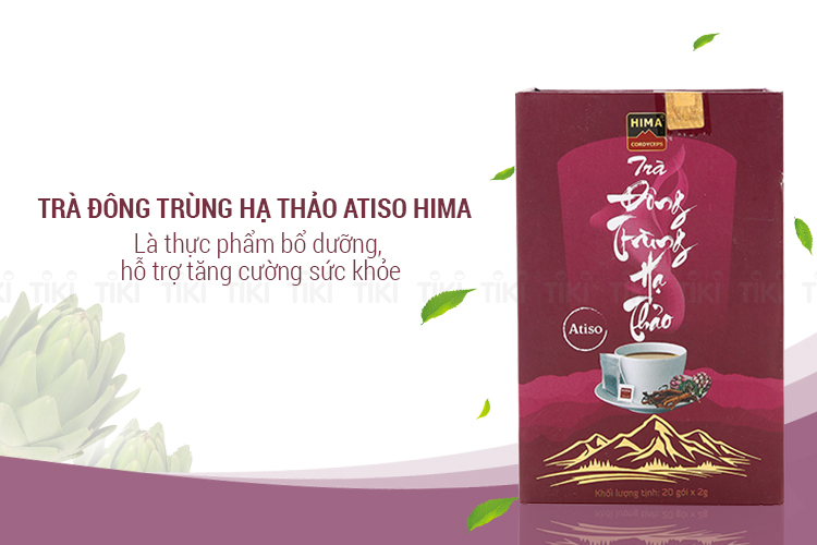 Trà đông trùng hạ thảo Atiso